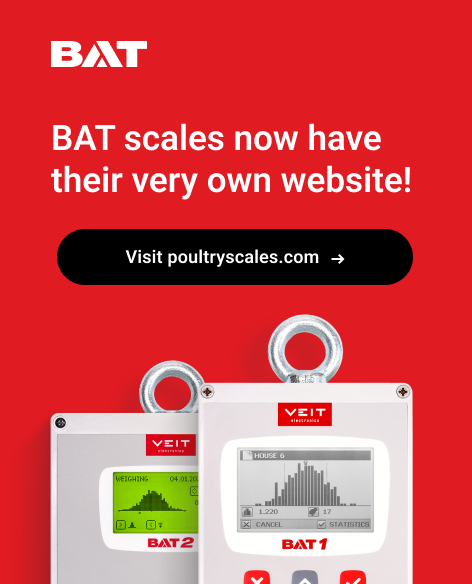 Bat Scales